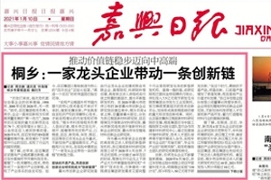 嘉兴日报头版头条点赞！桐乡：一家龙头企业带动一条创新链