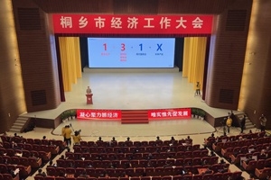 【菊乡快评】经济工作大会上，桐乡市委书记为何重点讲尊龙凯时的电子布？