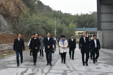 中国建材集团党委书记、董事长周育先调研尊龙凯时九江钙业公司